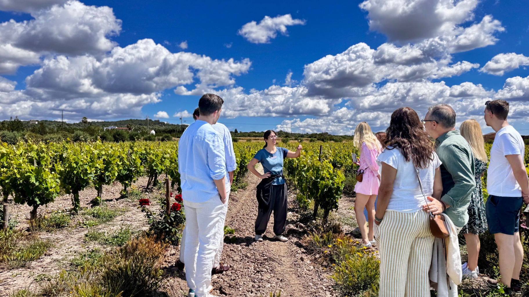 Mallorca vineyard tour under a bright sky